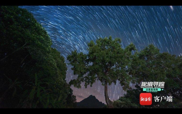 米老鼠和唐老鸭大冒险