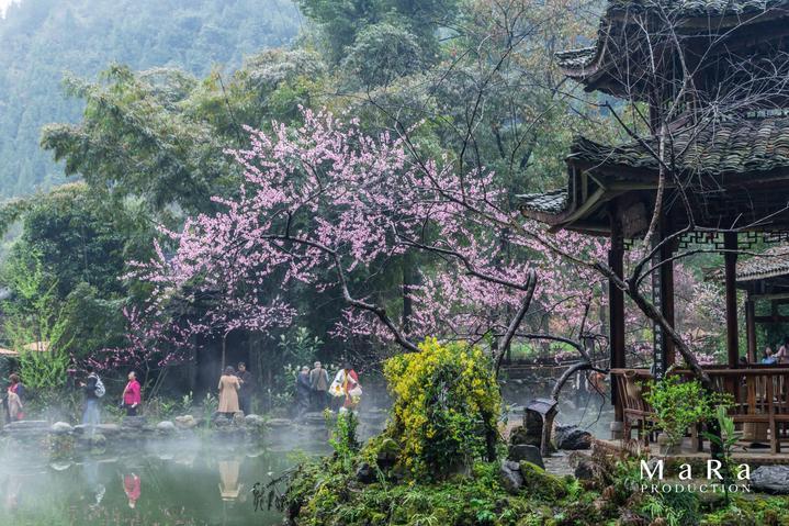 蜡笔小新大逃杀2