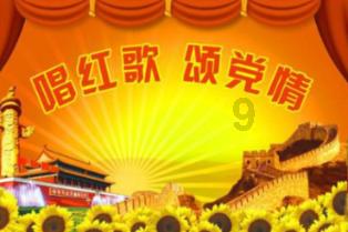 寻找奈良树花