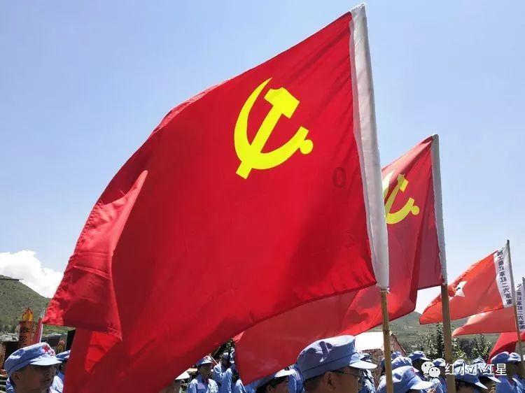 救援鹦鹉