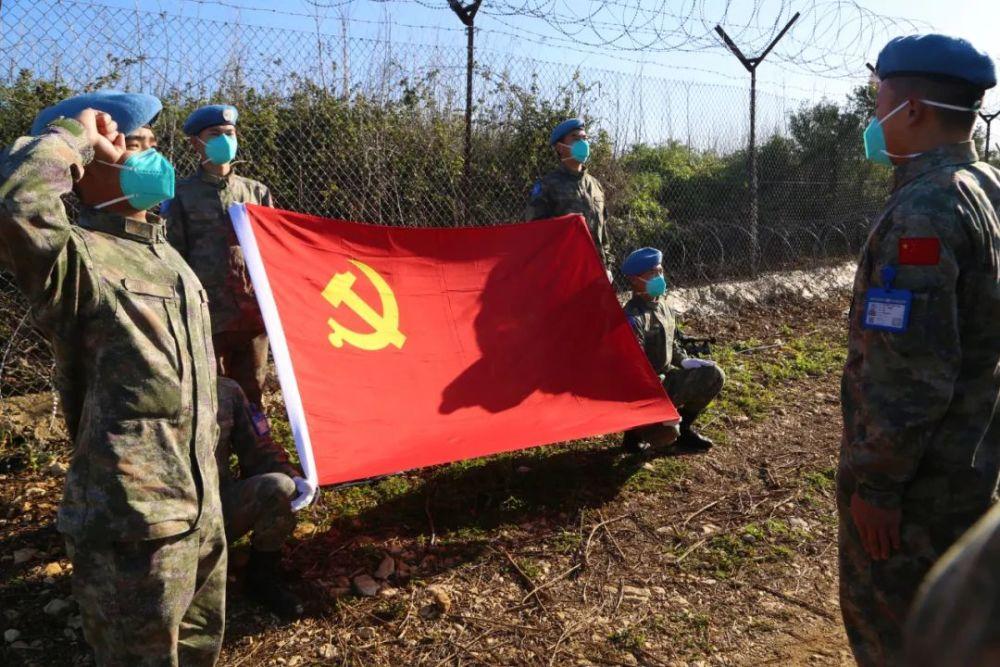 救援鹦鹉