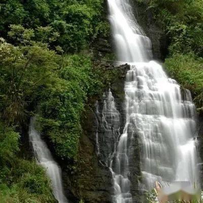 沪江开心词场