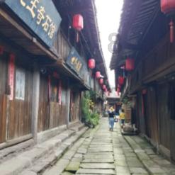 救援花栗鼠