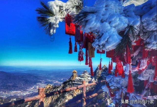 逃出灰绿房